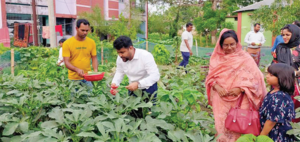 সরকারি সব অফিসে পুষ্টিবাগান মিটছে সবজির চাহিদা