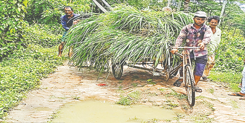 ছনহরা রামহরিদাস সড়কের বেহলা দশা