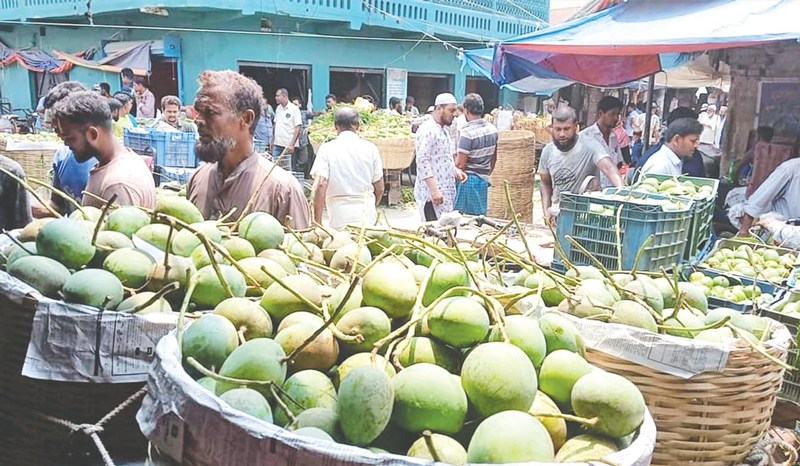 অধিক তাপমাত্রায় আমের আকার ছোট, চাষিরা পাচ্ছেন না দাম