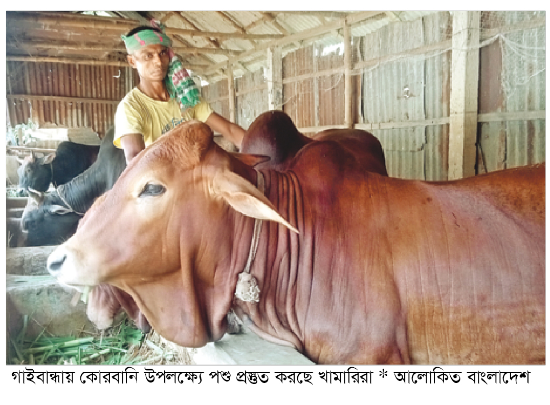 ১ লাখ ৩৮ হাজার পশু প্রস্তুত