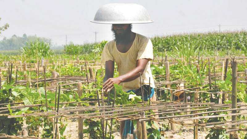 তীব্র গরমে অতিষ্ঠ রংপুরের জনজীবন