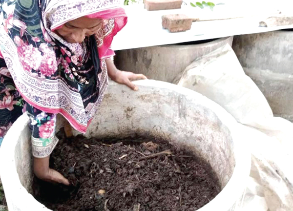 কেঁচো সারে লাভবান গ্রামের অর্ধশতাধিক নারী