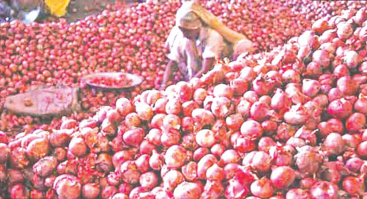 কোরবানির ঈদে পেঁয়াজের দাম থাকবে সহনশীল পর্যায়