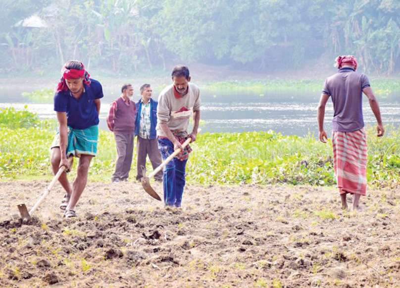 মাগুরায় চাষের আওতায় আসছে পতিত জমি