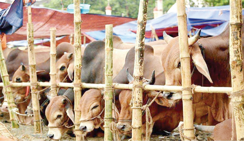 স্বল্প পরিসরে হবে ডিজিটাল লেনদেন