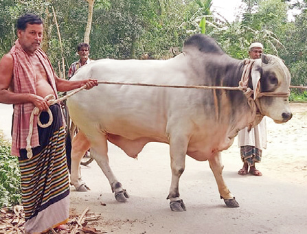 প্রধানমন্ত্রীর প্রতি কৃষক দম্পতির অকৃত্রিম ভালোবাসা