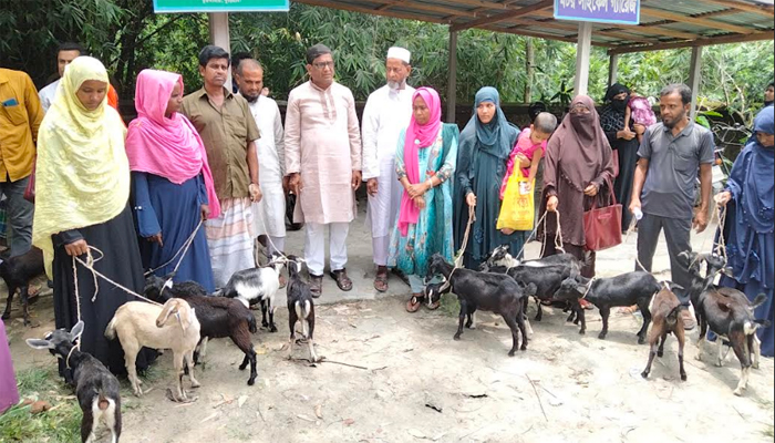 ভূরুঙ্গামারীতে প্রাণীসম্পদ দপ্তরের ছাগল বিতরণ