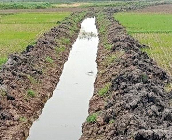 খাল খননে প্রাণ ফিরেছে  ৩০০ বিঘা পতিত জমির