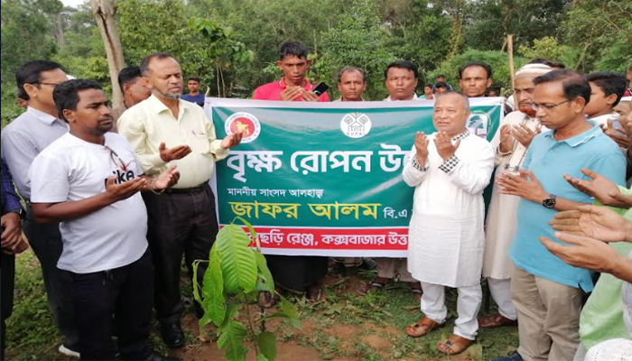 সরকার সংরক্ষিত বনাঞ্চল রক্ষায় যথেষ্ট সোচ্চার: এমপি জাফর 