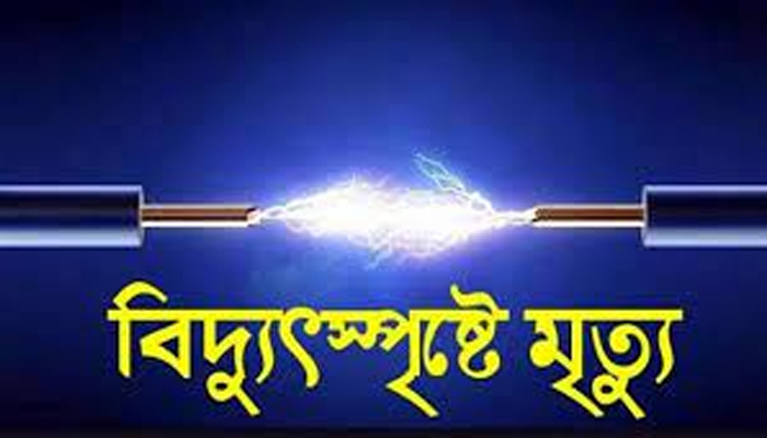 হাঁস বাঁচাতে শিয়ালের ফাঁদে বিদ্যুৎস্পৃষ্টে বৃদ্ধ নিহত 