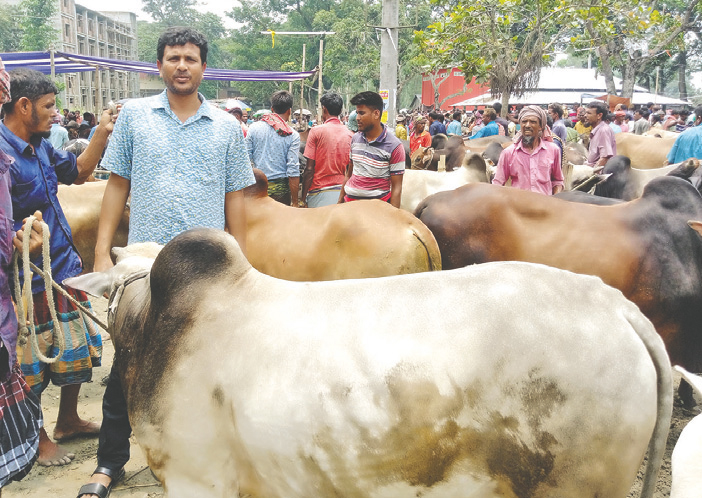 জমে উঠেছে ভরতখালী গো-হাট