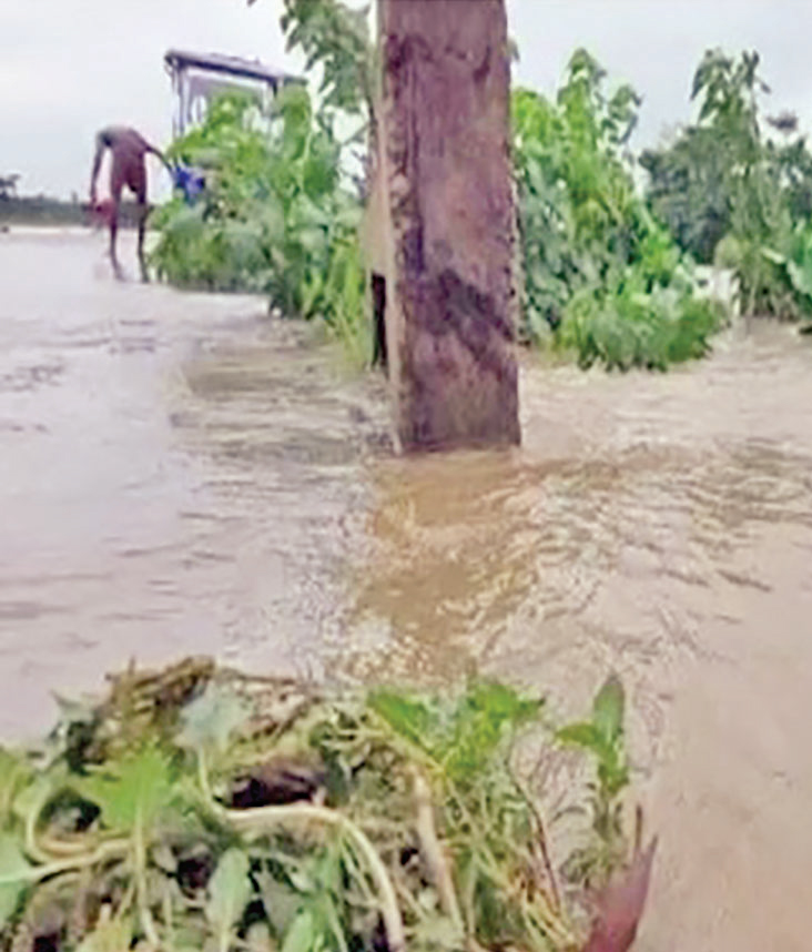 সুনামগঞ্জে বাড়ছে নদনদীর পানি