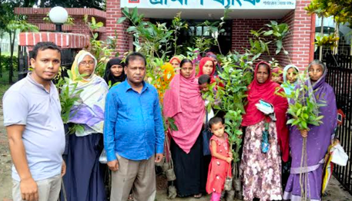 ভূরুঙ্গামারীতে গ্রামীন ব‍্যাংকের উদ‍্যোগে বৃক্ষ রোপন কর্মসূচী