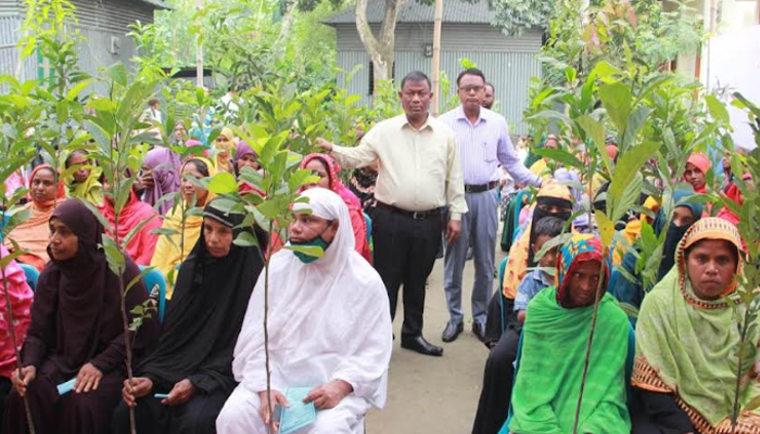 গ্রামীণ ব্যাংক জামালপুর জোনের উদ্যোগে বৃক্ষরোপন ও বিতরণ কর্মসূচির উদ্বোধন