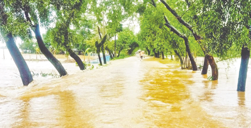 সিলেটে চার নদীতে পানি কমছে বাড়ছে কুশিয়ারায়