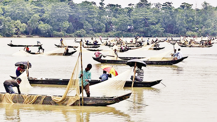 ডিম সংগ্রহ নিয়ে মিলছে নানা তথ্য