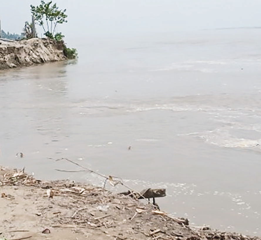 যমুনার পানি বৃদ্ধি, নিম্নাঞ্চল প্লাবিত বন্যার আশঙ্কা