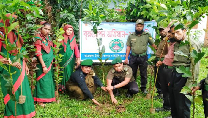 হালুয়াঘাটে আনসার ভিডিপির বৃক্ষ রোপন কর্মসূচী