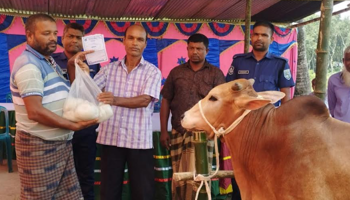 কুড়িগ্রাম কোরবানির পশুর হাটে লবণ বিক্রির বিশেষ উদ্যোগ