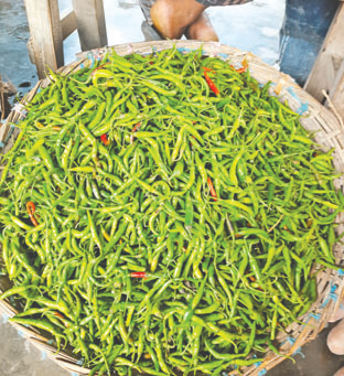 কাঁচা মরিচের কেজি ৩০০ টাকা