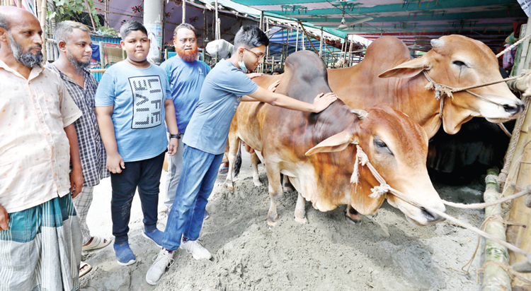 জমে উঠেছে পশুর হাট বাড়ছে ক্রেতার ভিড়