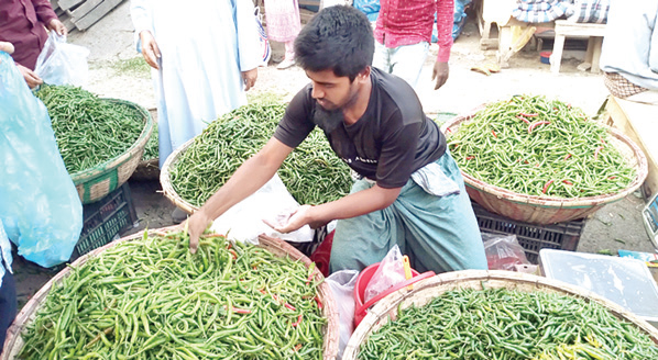 হঠাৎ করেই কাঁচা মরিচের দাম বেড়ে চার গুণ