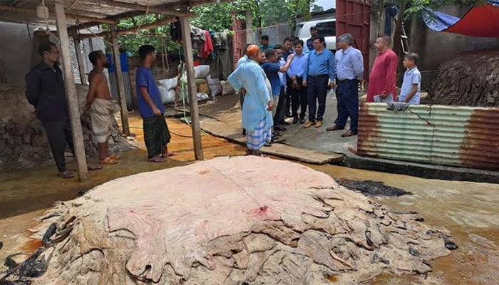 ‘দেশ থেকে চামড়া পাচারের সুযোগ নেই’