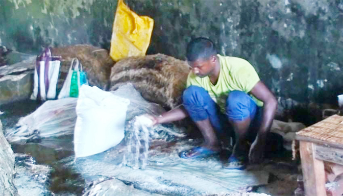 চামড়ার ন্যায্যমূল্য থেকে বঞ্চিত সাতক্ষীরার ক্ষুদ্র ব্যবসায়ীরা