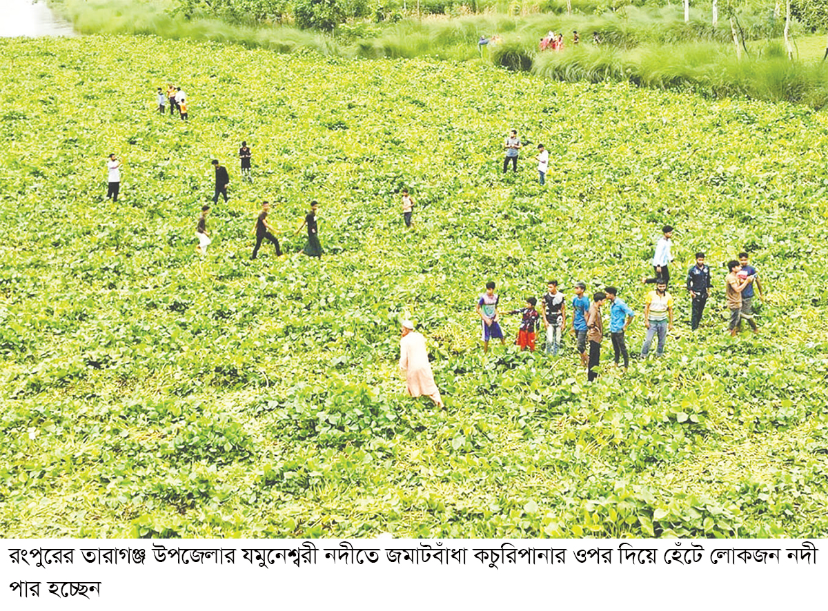 ভাসমান কচুরিপানায় পারাপার দেখতে মানুষের ভিড়