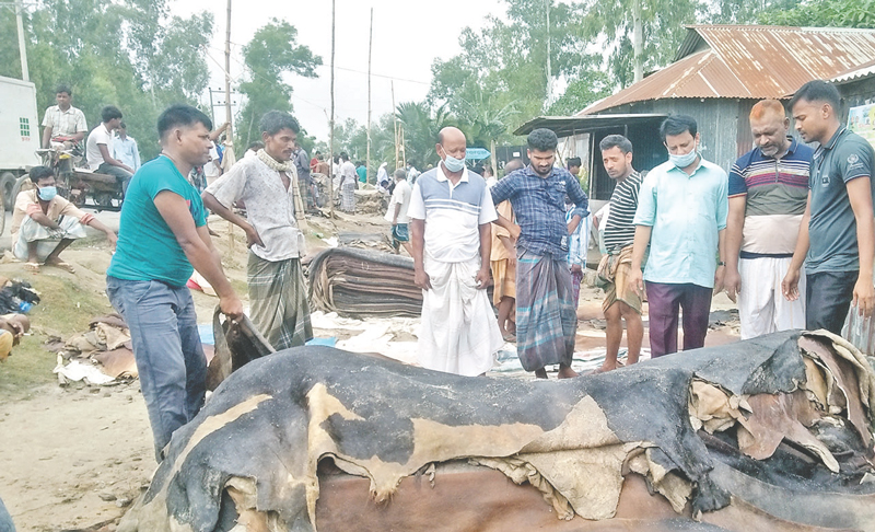 টাঙ্গাইলে চামড়া আছে ক্রেতা নেই