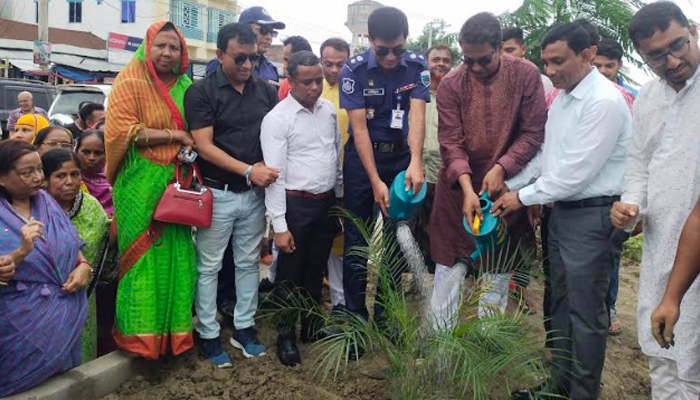 নাটোরে সড়কে ১০ হাজার গাছের চারা রোপণ কার্যক্রম শুরু