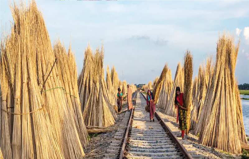 পাটপণ্য রপ্তানিতে বিপর্যয়ের শঙ্কা