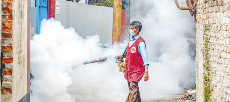 চট্টগ্রাম নগরীতে ‘ডেঙ্গু মশার’ ৪৯০ হটস্পট