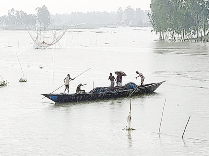 ভরা মৌসুমে মাছশূন্য নদী