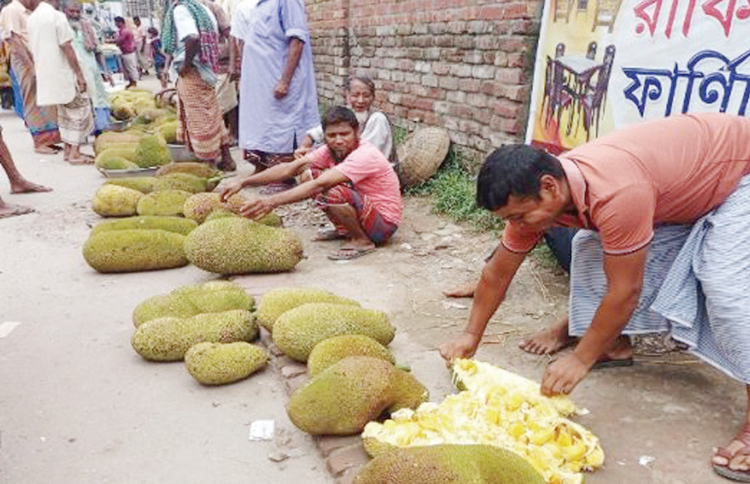 কাঁঠালের লম্বা সারি, ক্রেতার দেখা নেই