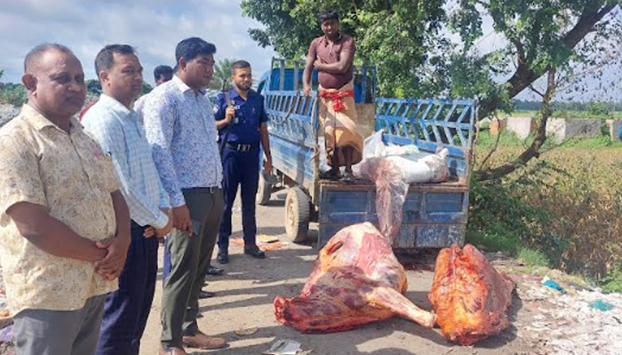 কুকুরে কামড়ানো অসুস্থ গাভী জবাই করে বিক্রির চেষ্টা, জরিমানা দেড় লাখ