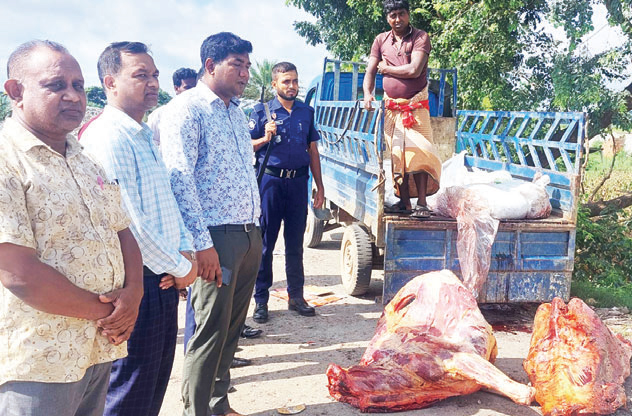 কুকুরে কামড়ানো গাভী জবাই করে বিক্রির চেষ্টা