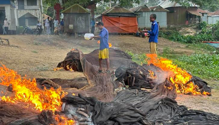 ১৫ লাখ টাকার জাল পুড়িয়ে দিলো ভ্রাম্যমাণ আদালত 