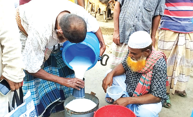 নারায়ণগঞ্জ গোগনগরে প্রতিদিন ৮ লাখ টাকার দুধ বিক্রি