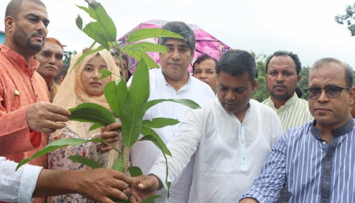 কক্সবাজার পৌর আ. লীগ সভাপতির তত্ত্বাবধানে ৫০ হাজার বৃক্ষরোপণ কর্মসূচির উদ্বোধন