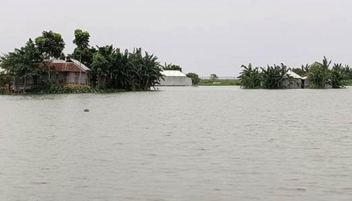 পাহাড়ি ঢলে যমুনার পানি বৃদ্ধি অব্যাহত, নিম্নাঞ্চল বন্যায় কবলিত