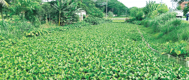 কেশবপুরে তিন নদনদী ভরাট