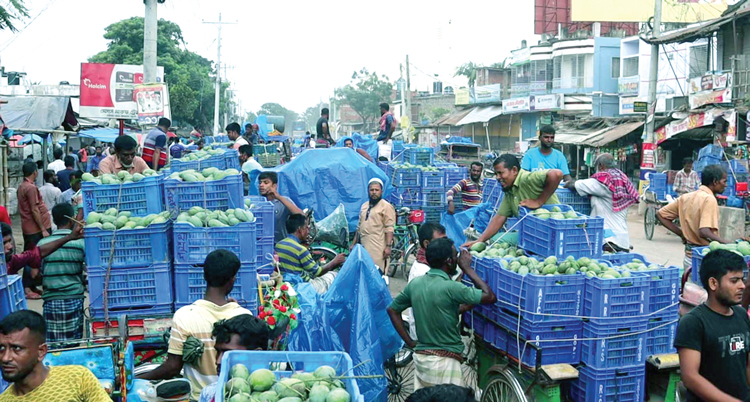 প্রতিদিন ২৫ কোটি টাকার আম বেচাকেনা