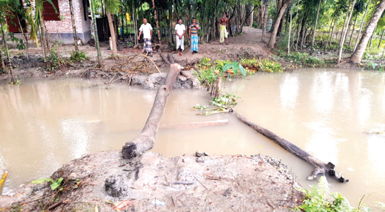 নির্মাণের সাত দিনেই ভেঙে পড়ল কালভার্ট