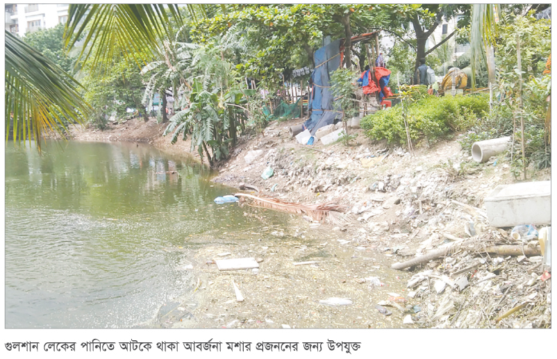 গুলশান-বনানীতেও বেড়েছে মশার উপদ্রব