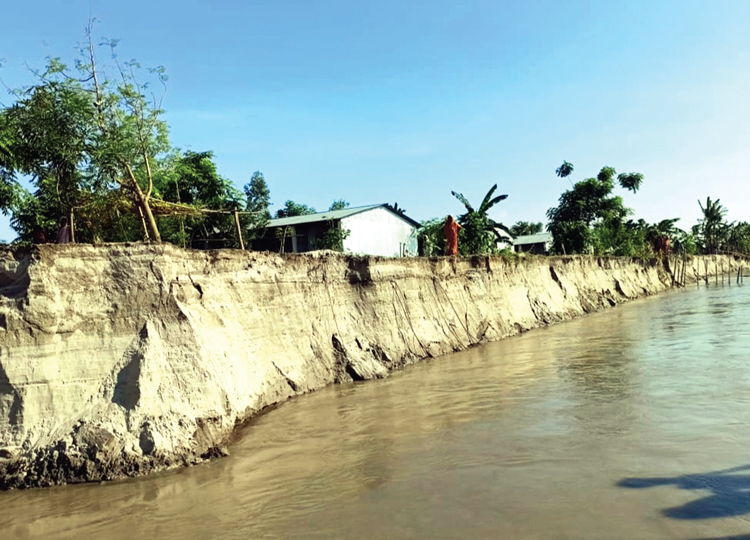 ভাঙনে দিশাহারা তিস্তাপাড়ের মানুষ