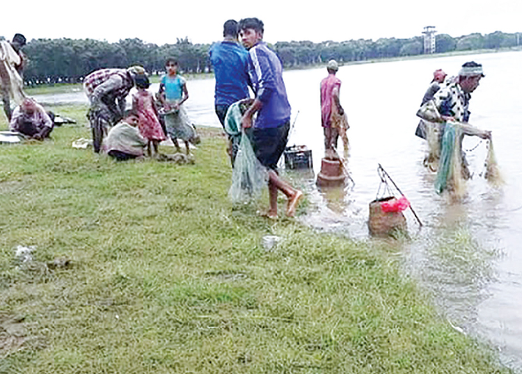 হাওরে অবাধে পোনা ও ডিমওয়ালা মাছ শিকার