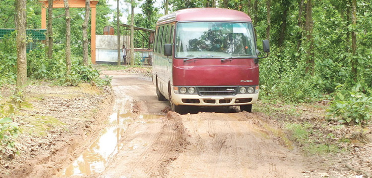 খানাখন্দে ভরা সাফারি পার্কের রাস্তা