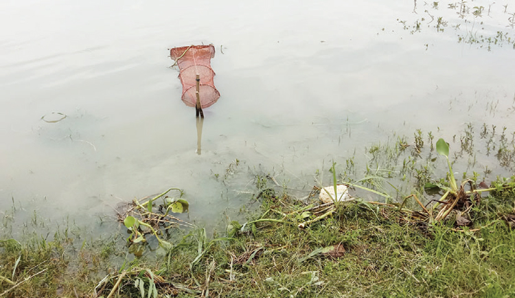 চায়না জালে সয়লাব যমুনা