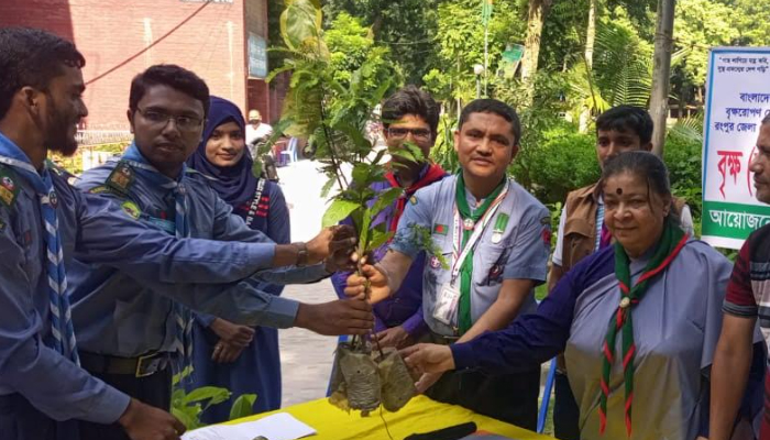 রংপুর জেলা রোভার স্কাউটসের ৩ হাজার চারাগাছ বিতরণ